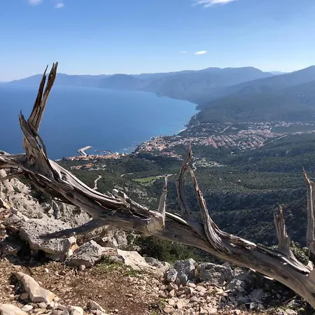 Апартаменты Le Conchiglie E Le Stelle Marine Кала-Гононе