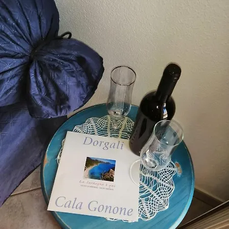Le Conchiglie E Le Stelle Marine