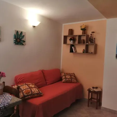 Le Conchiglie E Le Stelle Marine