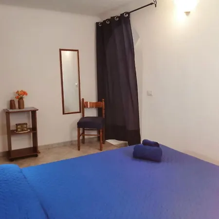 Le Conchiglie E Le Stelle Marine *