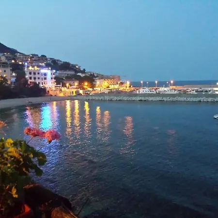 Le Conchiglie E Le Stelle Marine *