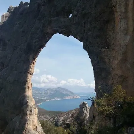 Le Conchiglie E Le Stelle Marine