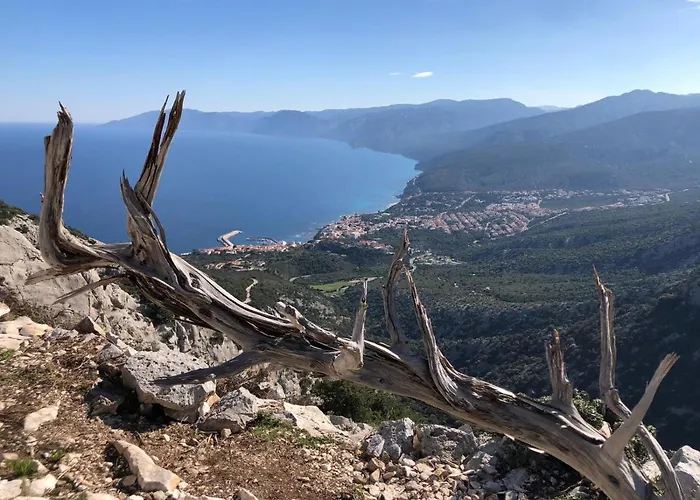 Διαμέρισμα Le Conchiglie E Le Stelle Marine Cala Gonone