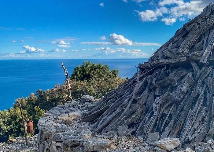 Le Conchiglie E Le Stelle Marine Διαμέρισμα Cala Gonone