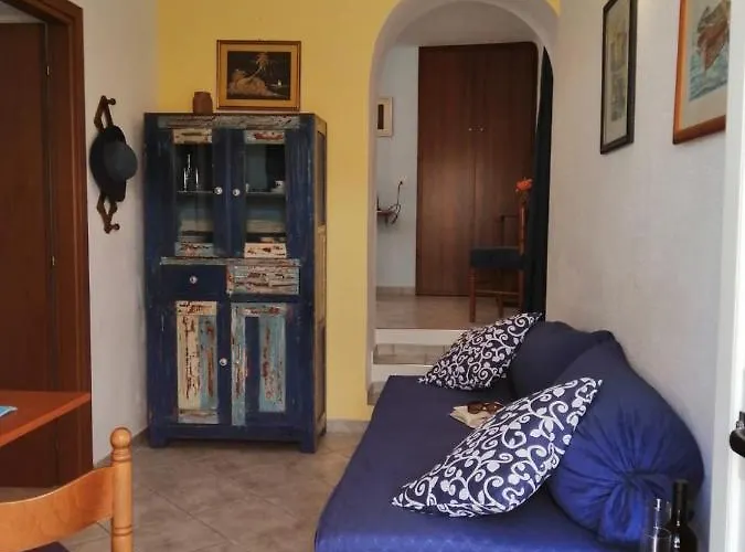 Le Conchiglie E Le Stelle Marine