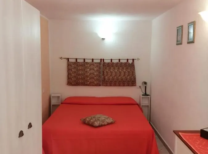 Le Conchiglie E Le Stelle Marine