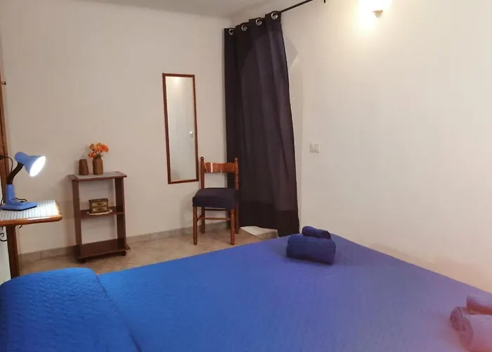 Le Conchiglie E Le Stelle Marine *