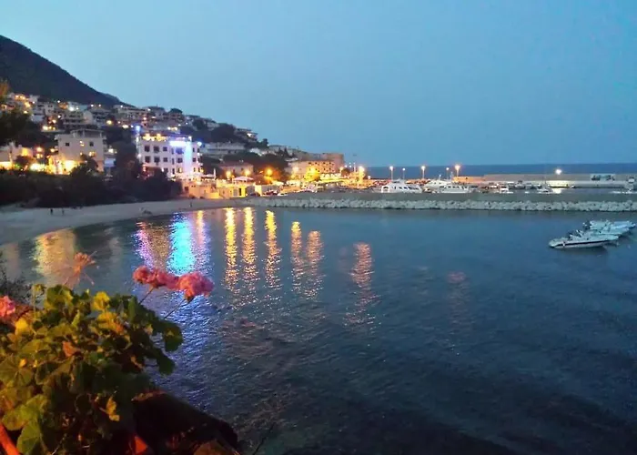 Le Conchiglie E Le Stelle Marine *