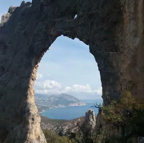 Le Conchiglie E Le Stelle Marine